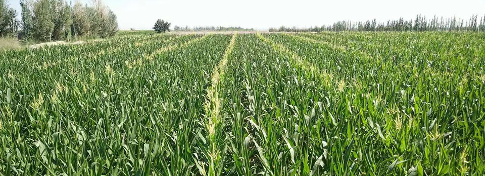 唐家璇：三一重工為國(guó)家爭(zhēng)了光